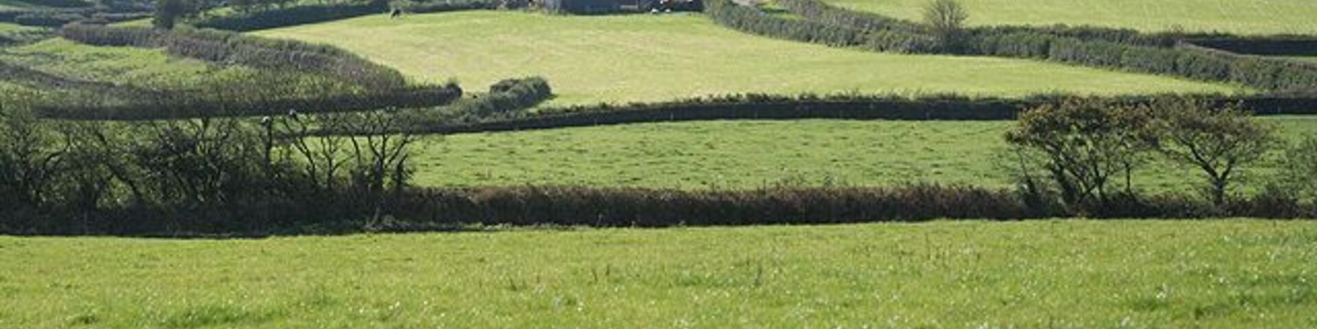 Campos verdes y ondulantes, una casa de campo y colinas a lo lejos.