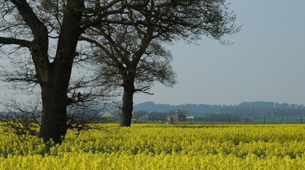 Oilseed Rape next to RAF Shawbury RAF Shawbury control tower is in the middle distance.