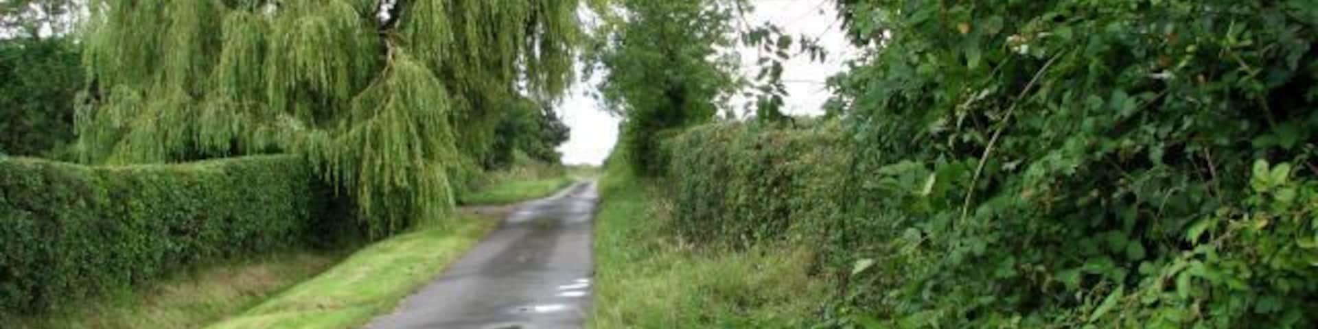 New Road, Sharrington