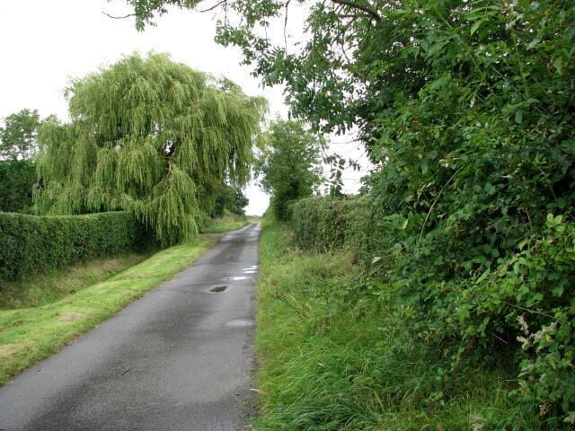 A narrow rural road flanked by hedges and trees.