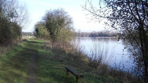 Wildlife Ponds at Felmersham The several ponds at Felmersham are managed by the County Wildlife Trust and are open to the public. The trackway shown above and other footpaths extend around most of the tree-lined ponds which are formed from old gravel workings. The area is excellent for walking with car parking available at SP987583.