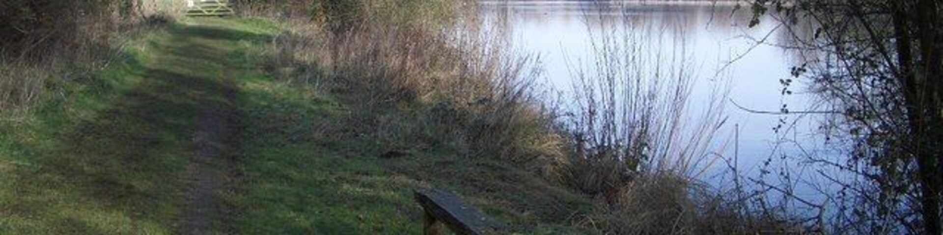 Wildlife Ponds at Felmersham The several ponds at Felmersham are managed by the County Wildlife Trust and are open to the public. The trackway shown above and other footpaths extend around most of the tree-lined ponds which are formed from old gravel workings. The area is excellent for walking with car parking available at SP987583.