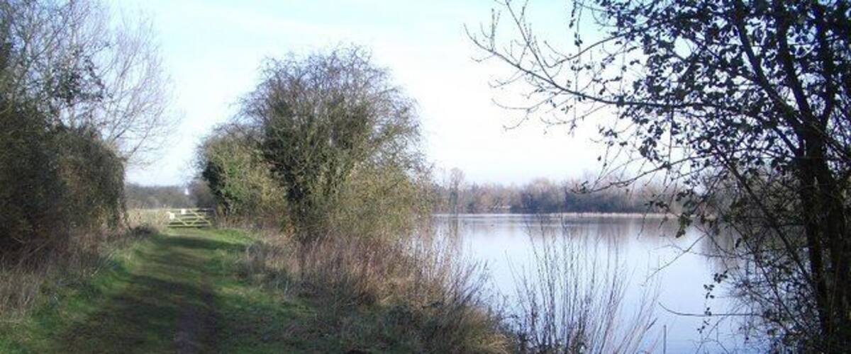 A narrow path beside a lake with a bench and trees.