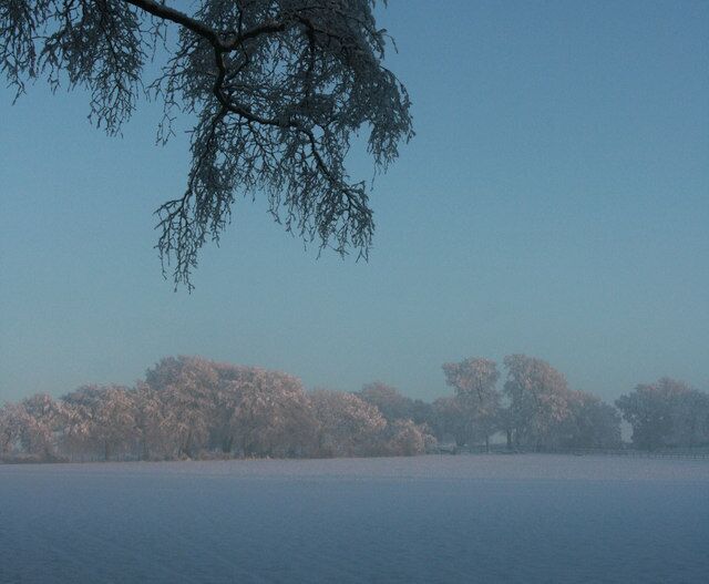 Snowfields near Aylesfield House In the dying embers of sunlight on the shortest day of the year.