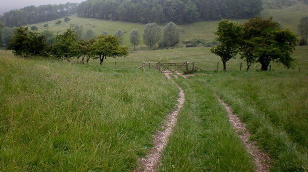 Around Town Wold Looking back towards Wardale from the track leading up to Wold House on Town Wold.