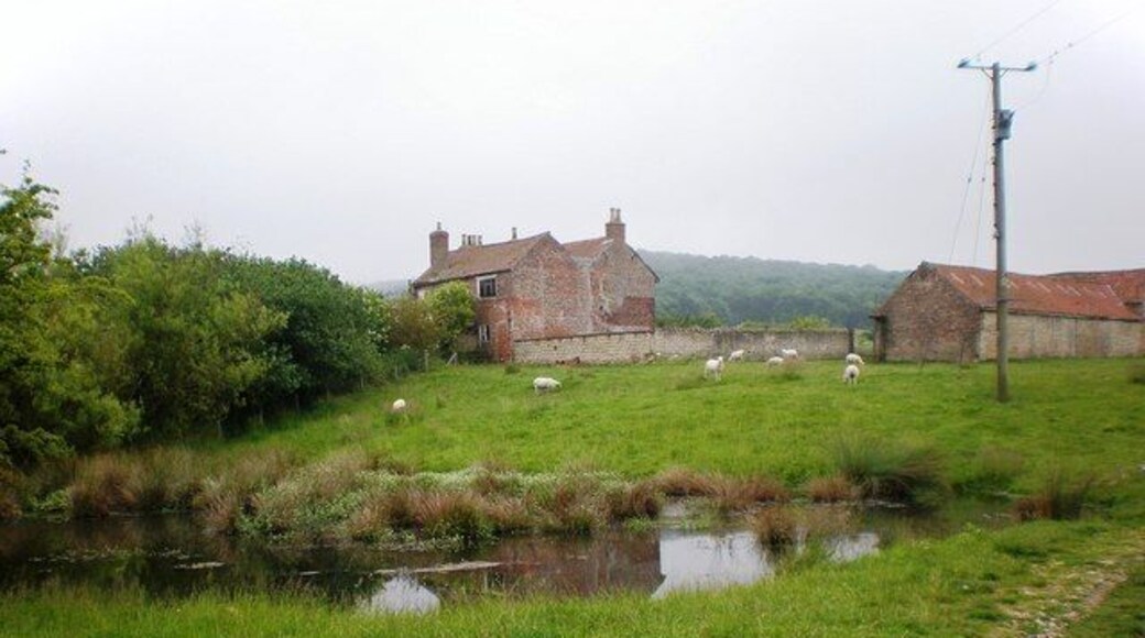 Low Bellmanear The track from Fizgig Hill leads past the pond and derelict buildings at Low Bellmanear, with sheep grazing on the surrounding grassy terrain.
