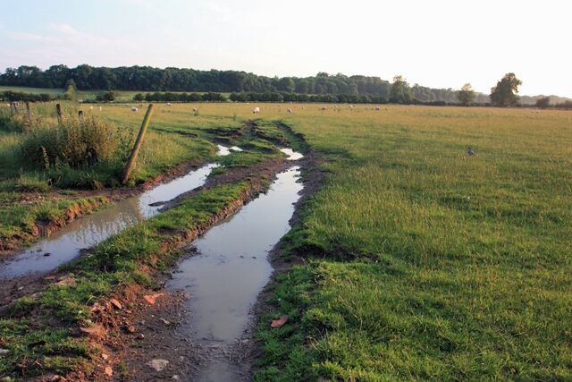 Pasture west of Settrington The pasture was in use as grazing for sheep.