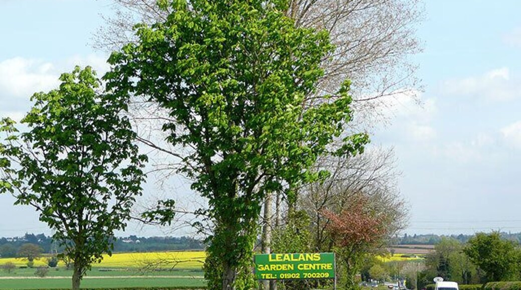 The A454 Bridgnorth Road near Shipley, Shropshire Lealans Garden Centre is behind the camera; the Pavilion Garden Centre, with its cluster of smaller traders by it, is just visible in the distance on the right. Most of the land around is arable and used for cereals, rape or potatoes. The rest is grazed by sheep and cattle.