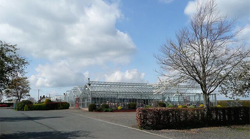 Lealans Garden Centre near Shipley, Shropshire Lealans Garden Centre is a long established, unpretentious, and very good garden centre with friendly staff, offering the usual fare at reasonable prices in spacious and uncluttered glasshouses. The buildings shown are at the eastern end of the block.