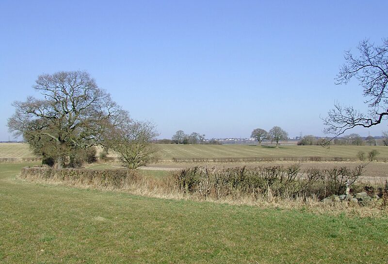 Farm land near Seisdon, Staffordshire. Looking towards land near Blakeley Pool Farm. Grass and crop growth is a month or more later than usual because of an extended cold winter, apparently the coldest for thirty one years. Behind the hedge and leading to the trees on the left is a farm track with public footpath access. 1750406