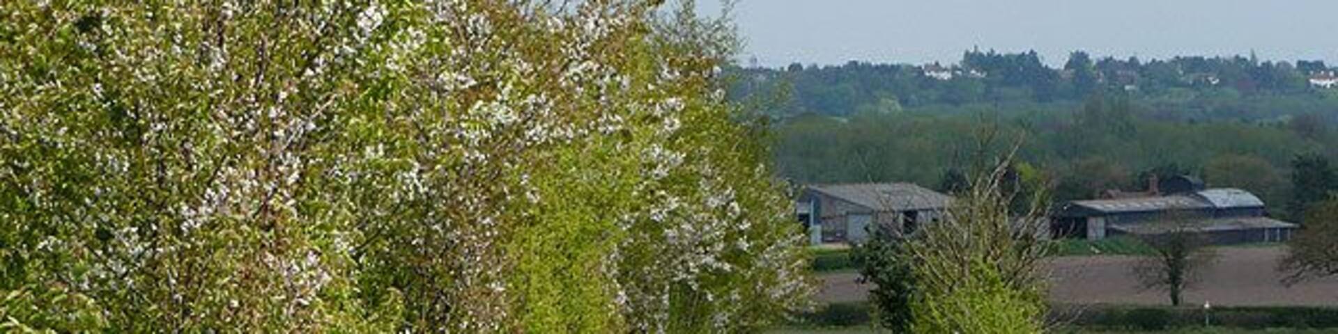 Farm track near Shipley, Shropshire Surrounding fields are mainly used for rape, cereals, and potatoes. Local wildlife adds interest to this rural scene!