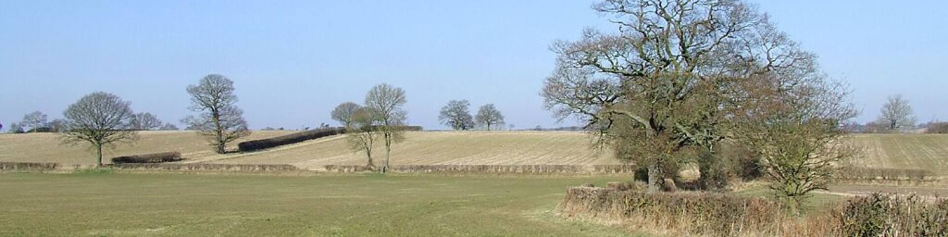 A rural landscape with rolling hills, a large tree, and a stone wall.