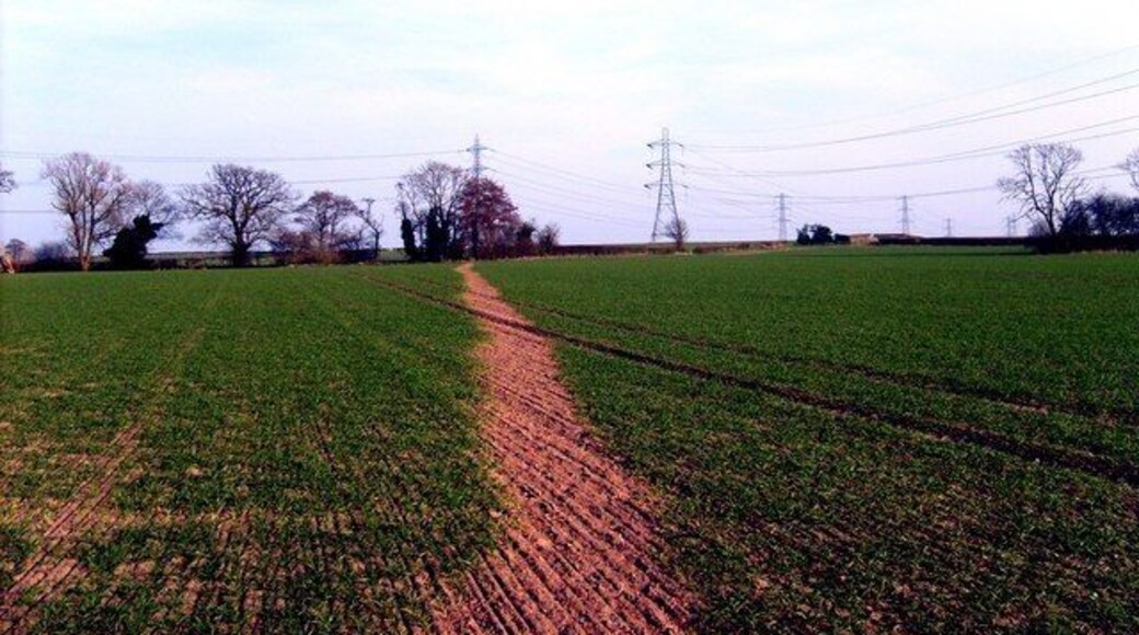 Trescott Footpath A reinstated path crosses a field towards Trescott.