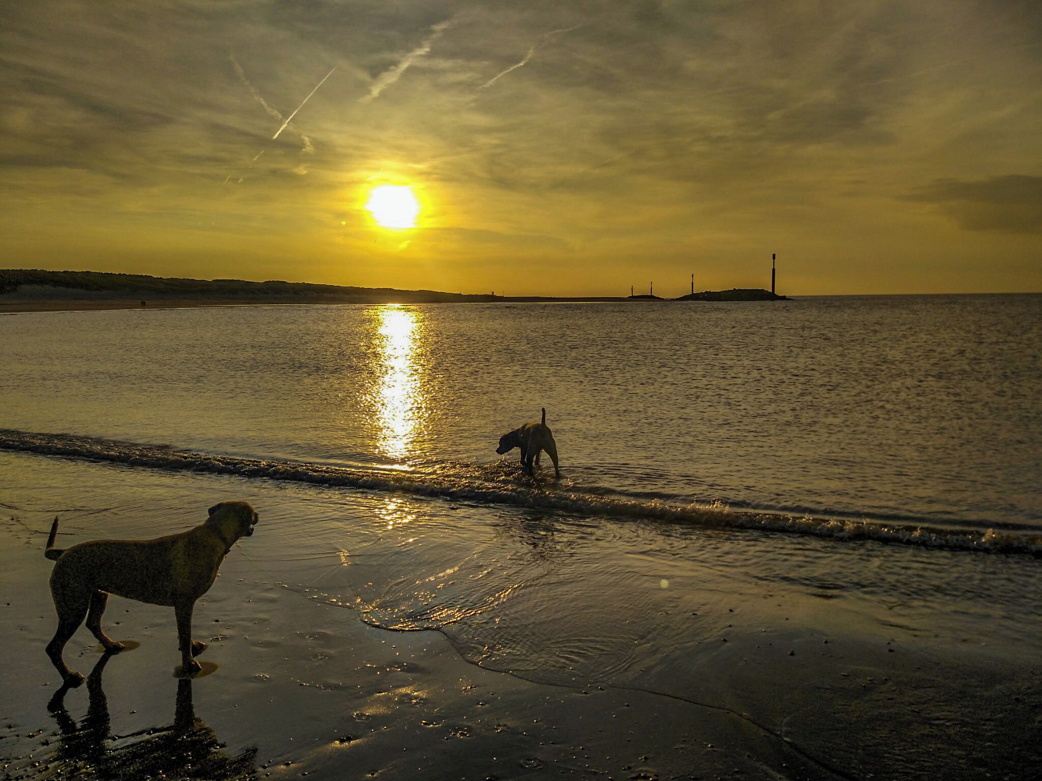 Lovely dog friendly part of the beach at Sea Palling. At low tide there are vast expanses of sand and a sunset will often create a golden mirror reflection. You may spot the occasional seal, star fish or even deer in the sand dunes. #BeachTips
