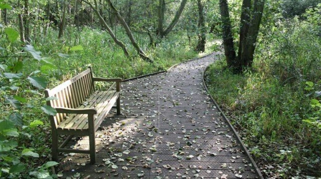 Sculthorpe Moor Nature Reserve Sculthorpe Moor Community Nature Reserve http://www.sculthorpemoor.co.uk/ , an ambitious community project to provide open access to all - judging by the enthusiasm of the reserve rangers we met, its success is assured.