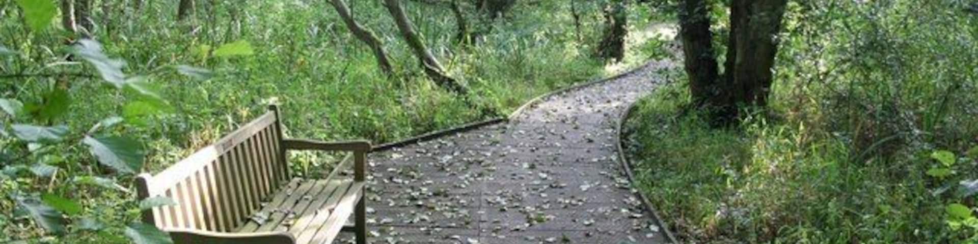 Sculthorpe Moor Nature Reserve Sculthorpe Moor Community Nature Reserve http://www.sculthorpemoor.co.uk/ , an ambitious community project to provide open access to all - judging by the enthusiasm of the reserve rangers we met, its success is assured.
