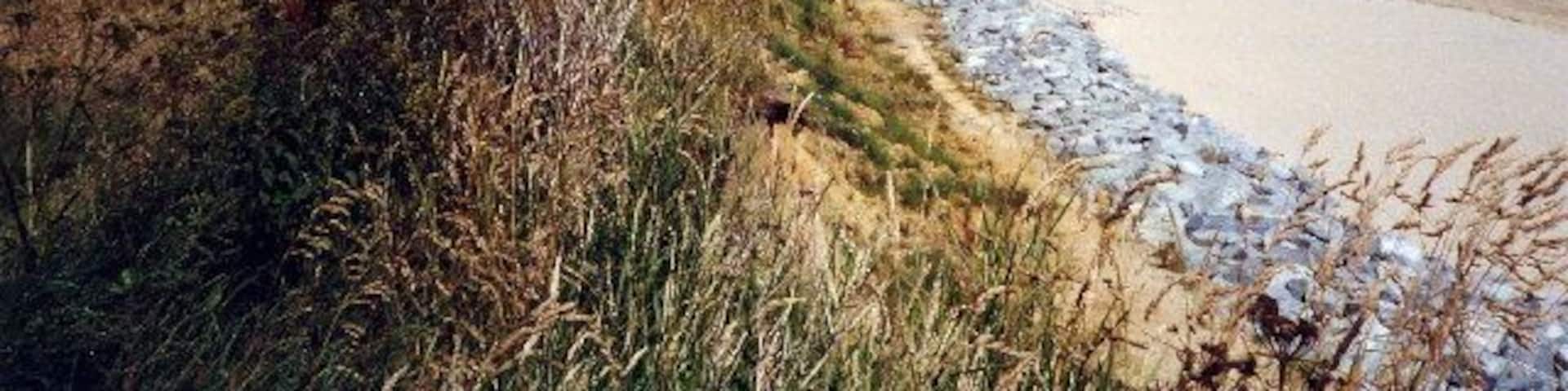 Beach Scratby Nr Great Yarmouth Norfolk. Beach at Scratby Nr Great Yarmouth.