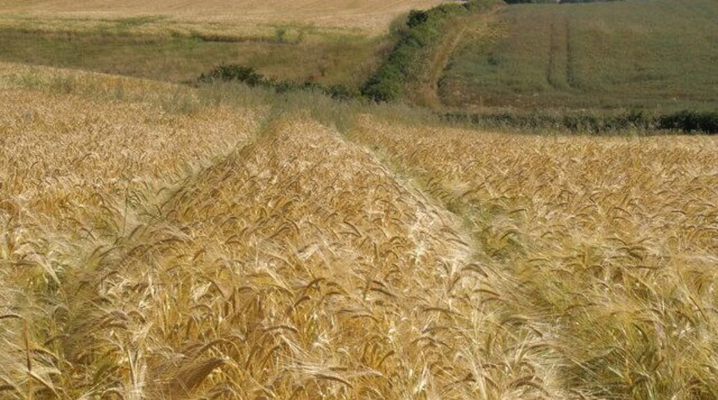 High Toft Hills. High Toft is in the middle distance, Burniston in the valley beyond and the coast on the skyline