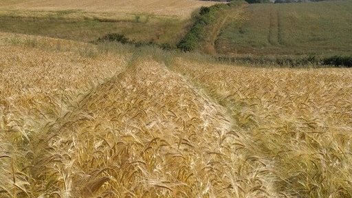High Toft Hills. High Toft is in the middle distance, Burniston in the valley beyond and the coast on the skyline
