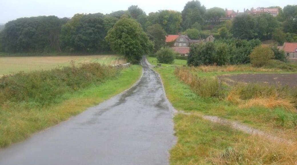 Minor Road Towards Cloughton