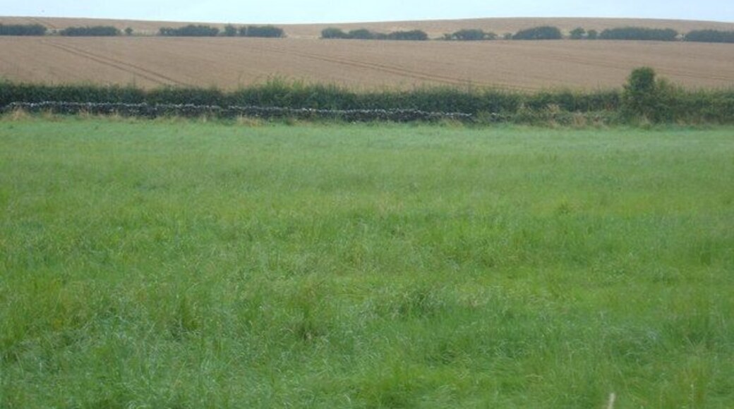 Farmland near the Old Scarborough to Whitby Railway