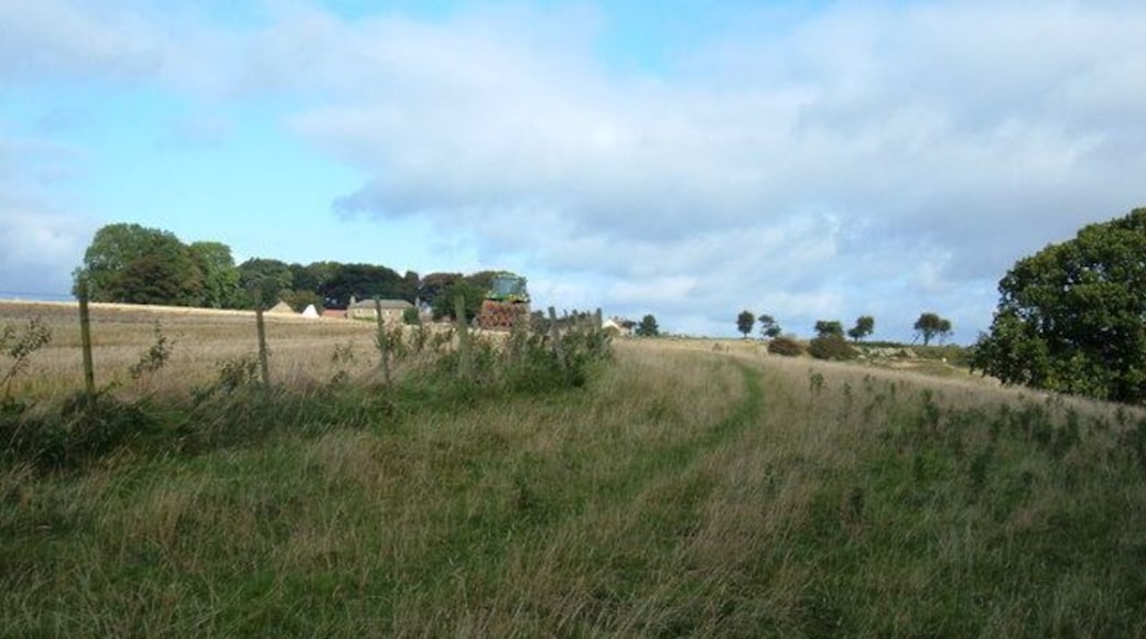 Bridleway to Thirlsey