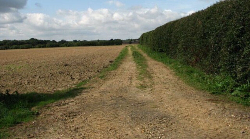 A farm track leading west