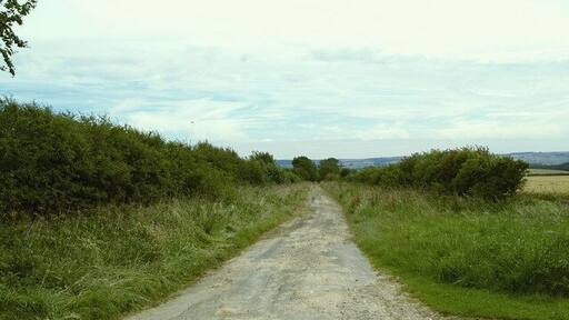 Track near Sawdon