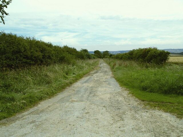 A rural dirt road flanked by dense greenery and fields.