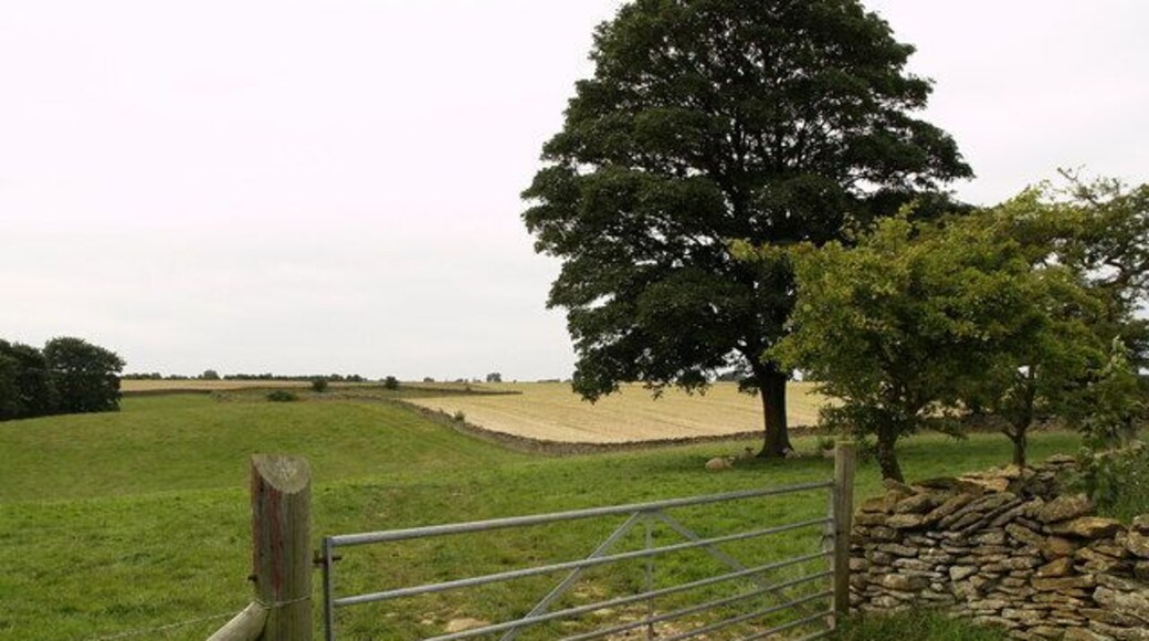 Gate and Field Taken from the little-used bridleway.