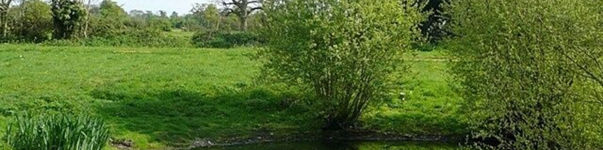 Turmer Pond An artificial pond, probably originally a dew pond, in the centre of the hamlet.