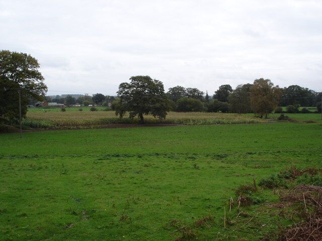Paisaje rural con un vasto campo verde, árboles y un edificio distante.