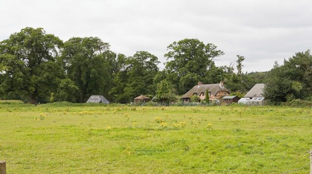 Cottage at Turmer This cottage is cryptically named "25" on large-scale OS maps. I presume therefore that it is a cottage on the Somerley Estate.