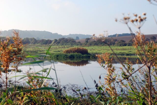 Kelling Water Meadow off Meadow Lane