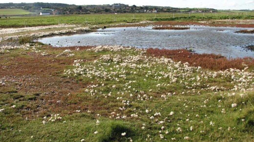 Footpath skirting the saltmarsh. A footpath leads from the car park at the end of Beach Road > 1011054 to Gramborough Hill and beyond, the first section loosely following the fence seen in mid-distance. The village of Salthouse - most of its houses grouped around the church of St Nicholas > 309276 - can be seen in the distance (in adjacent grid square). The shallow lagoon seen in the foreground is located below the shingle ridge on the edge of the saltmarsh; it was quite bare in May > https://www.geograph.org.uk/photo/825872 - https://www.geograph.org.uk/photo/825827 but is now surrounded by an abundance of seeding sea asters (Aster tripolium) > https://www.geograph.org.uk/photo/1011031.