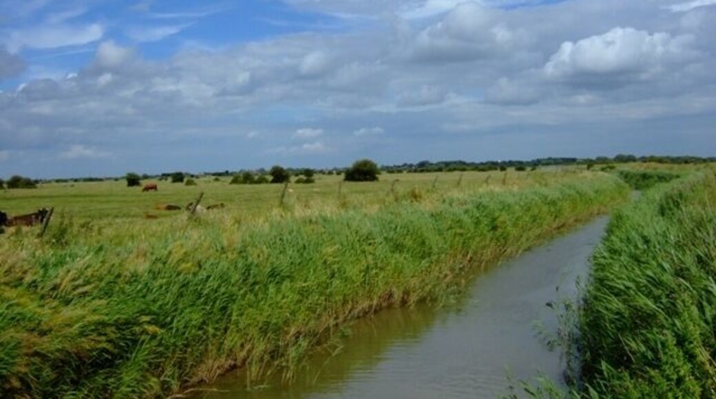 Grayfleet Drain and grazing land from Queen's Bridge
