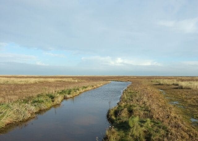 Out on the Saltmarsh, Saltfleetby The sea is constantly throwing up eroded soil from further up the coast, which becomes colonised by a range of plants as it stabilises. This is one of the few parts of the east coast that is accreting as opposed to eroding. A little piece of Lincolnshire that is forever Yorkshire? Visitors need to be sure of the state of the tide before going out too far.