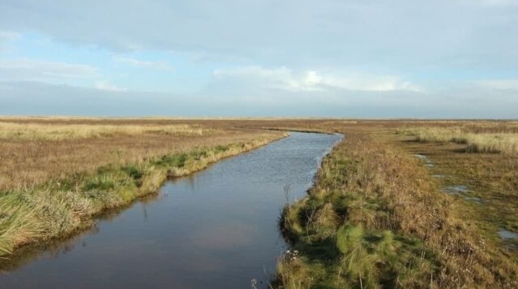 Out on the Saltmarsh, Saltfleetby The sea is constantly throwing up eroded soil from further up the coast, which becomes colonised by a range of plants as it stabilises. This is one of the few parts of the east coast that is accreting as opposed to eroding. A little piece of Lincolnshire that is forever Yorkshire? Visitors need to be sure of the state of the tide before going out too far.