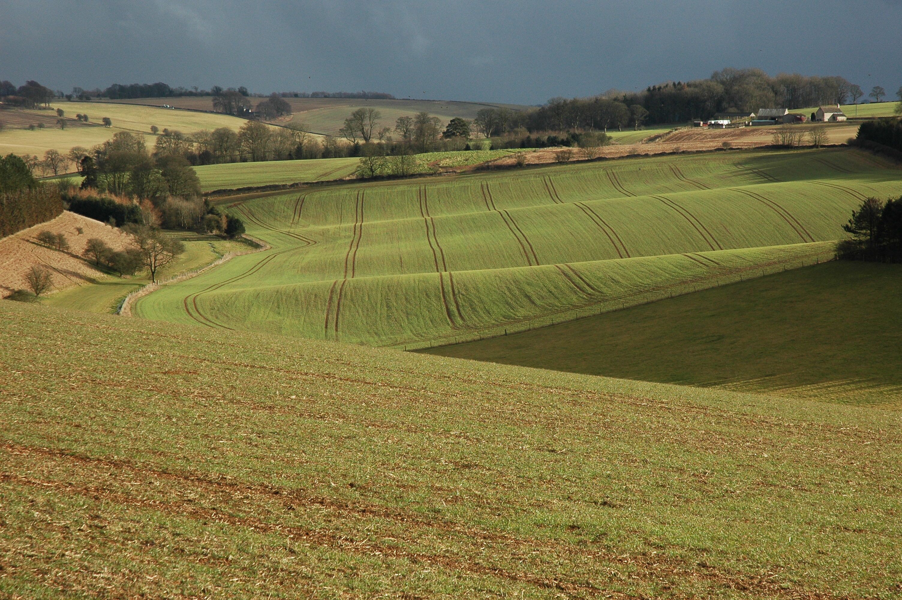 Arable land and Farhill Farm Arable farmland to the east of Salperton, Farhill Farm can be seen on the right.
