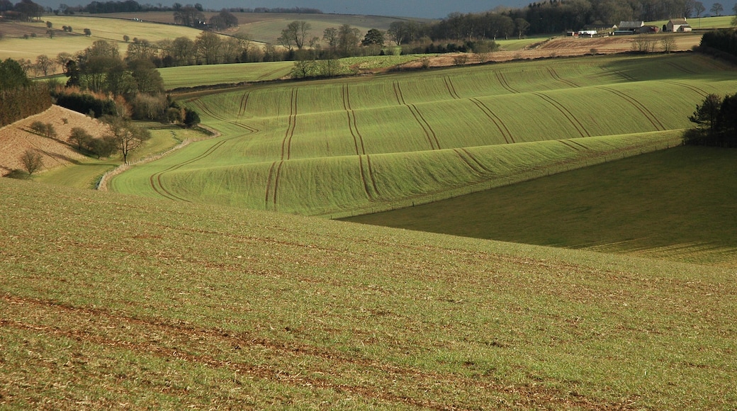 Arable land and Farhill Farm Arable farmland to the east of Salperton, Farhill Farm can be seen on the right.