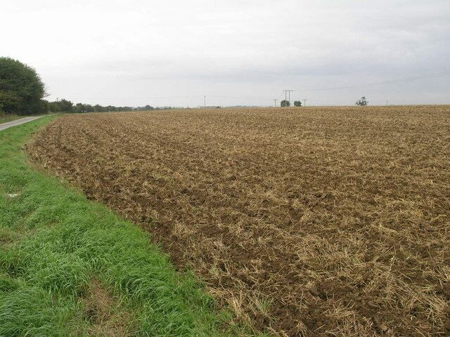 A plowed field with a road curving to the left and power lines in the distance.