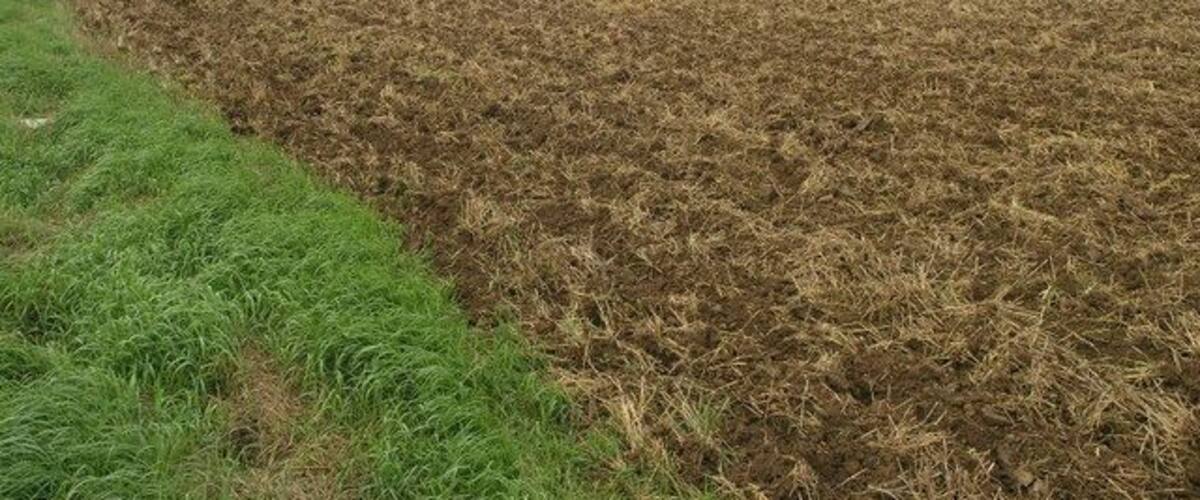A plowed field with a road curving to the left and power lines in the distance.