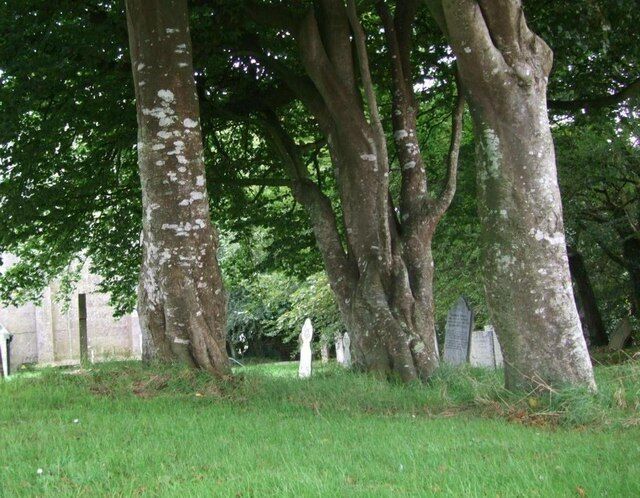 A cemetery with large trees and headstones.