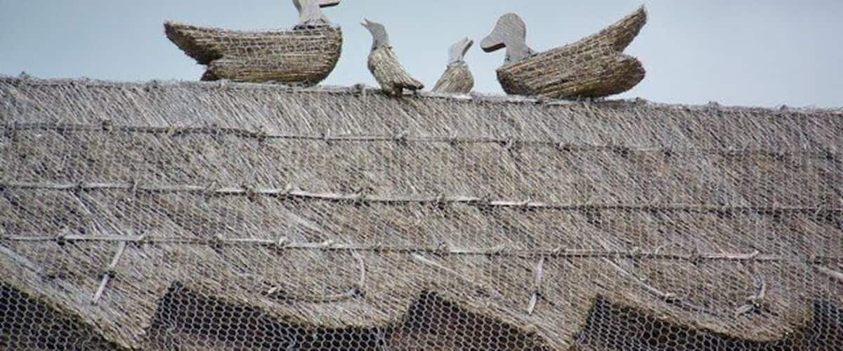 Birds of thatch These 'birds' decorate one of the many thatched cottages of St Mary Bourne.