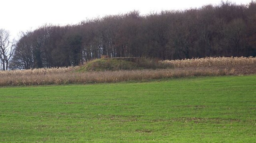 Reservoir near Frenches Farm The reservoir is surrounded by game crops.
