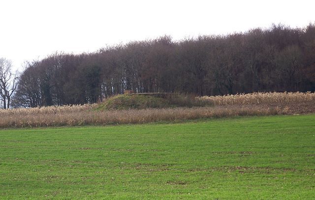 A grassy field with a hill and trees in the background.