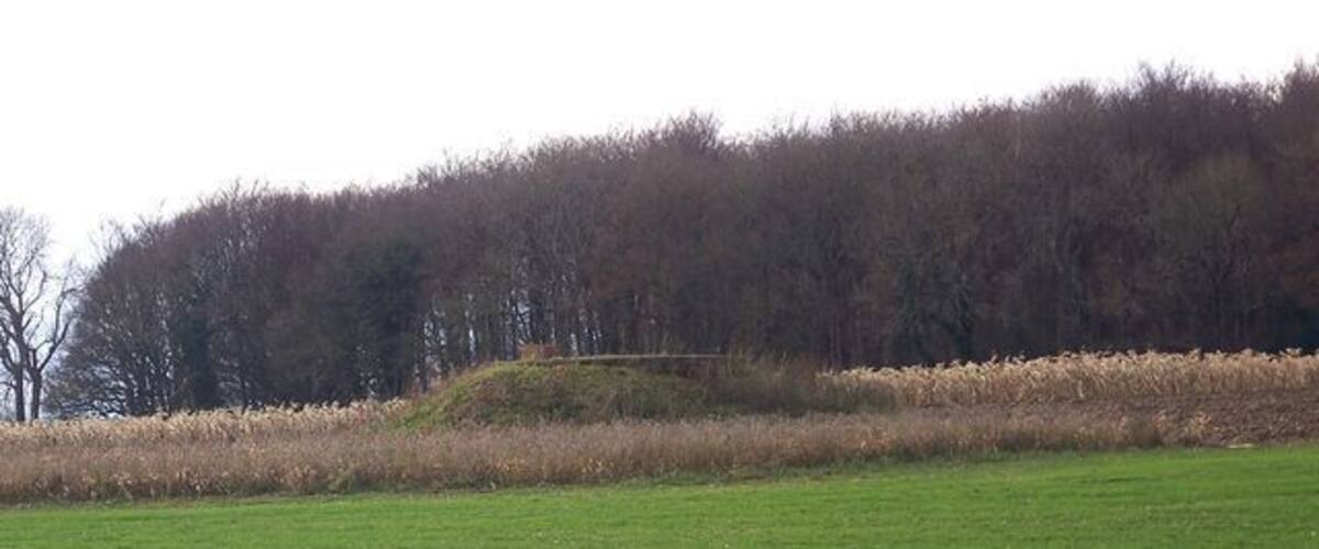 A grassy field with a hill and trees in the background.