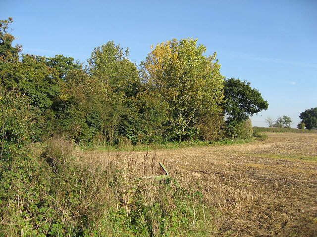 There Used To Be A Gate Now the gate is broken and mostly hidden in the undergrowth.