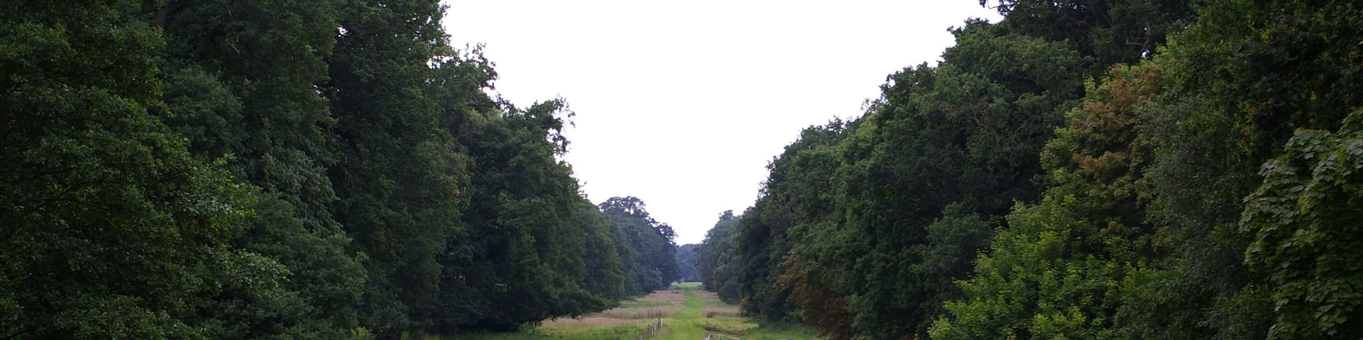 The Chase, Stow Hall, looking south The Chase runs from here for a mile southwards to where Stow Hall used to be. This end of it is used for keeping horses. The grey box on the left appears to be something to do with the nearby pond.