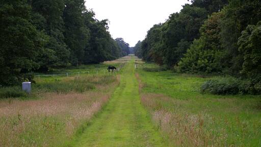 The Chase, Stow Hall, looking south The Chase runs from here for a mile southwards to where Stow Hall used to be. This end of it is used for keeping horses. The grey box on the left appears to be something to do with the nearby pond.